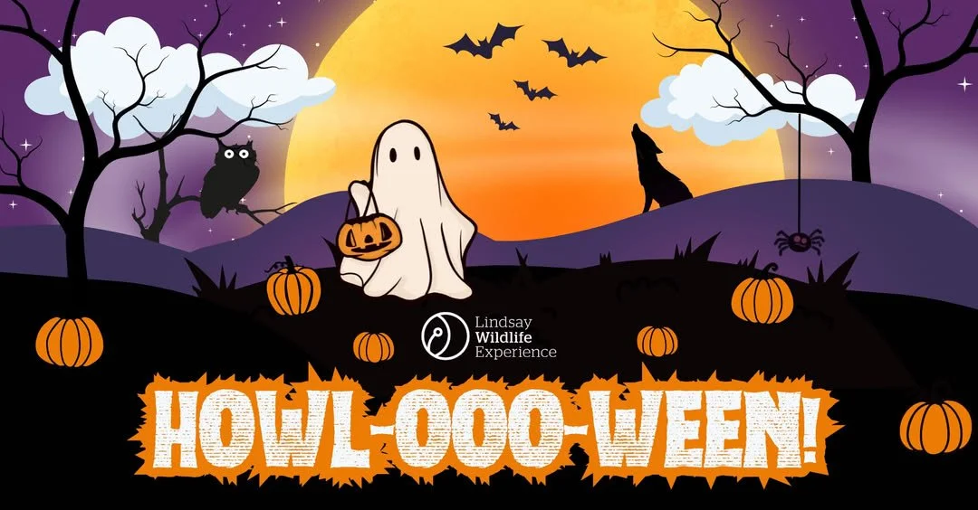 Walnut Creek: Lindsay Wildlife Experience Howl-ooo-ween