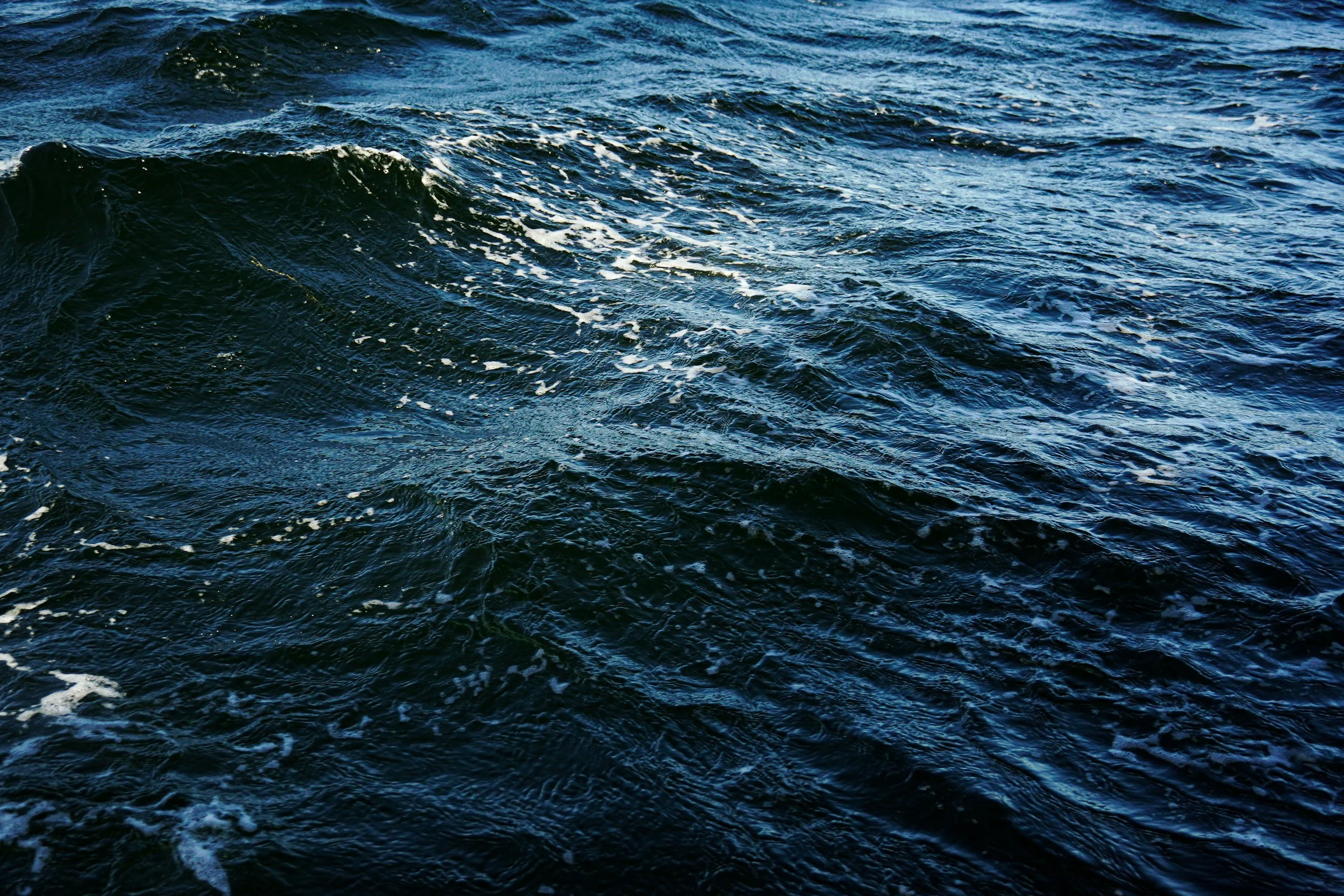 Alameda: King Tide at the Cove