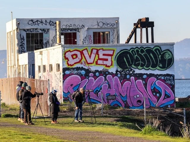 Richmond Christmas Bird Count