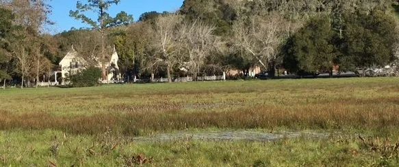 Sonoma: Hike After Thanksgiving!