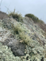 Geology Walk
