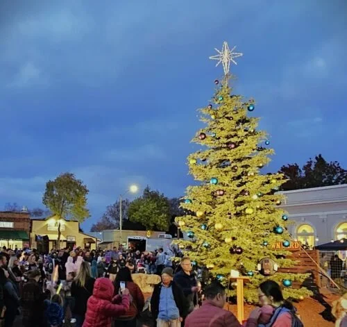Pinole: Holiday Tree Lighting