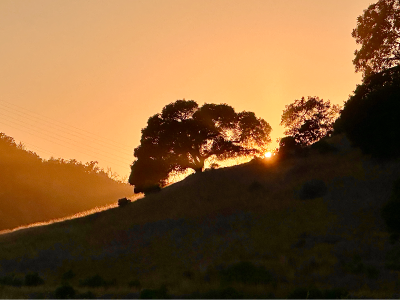 Secrets of the solstice