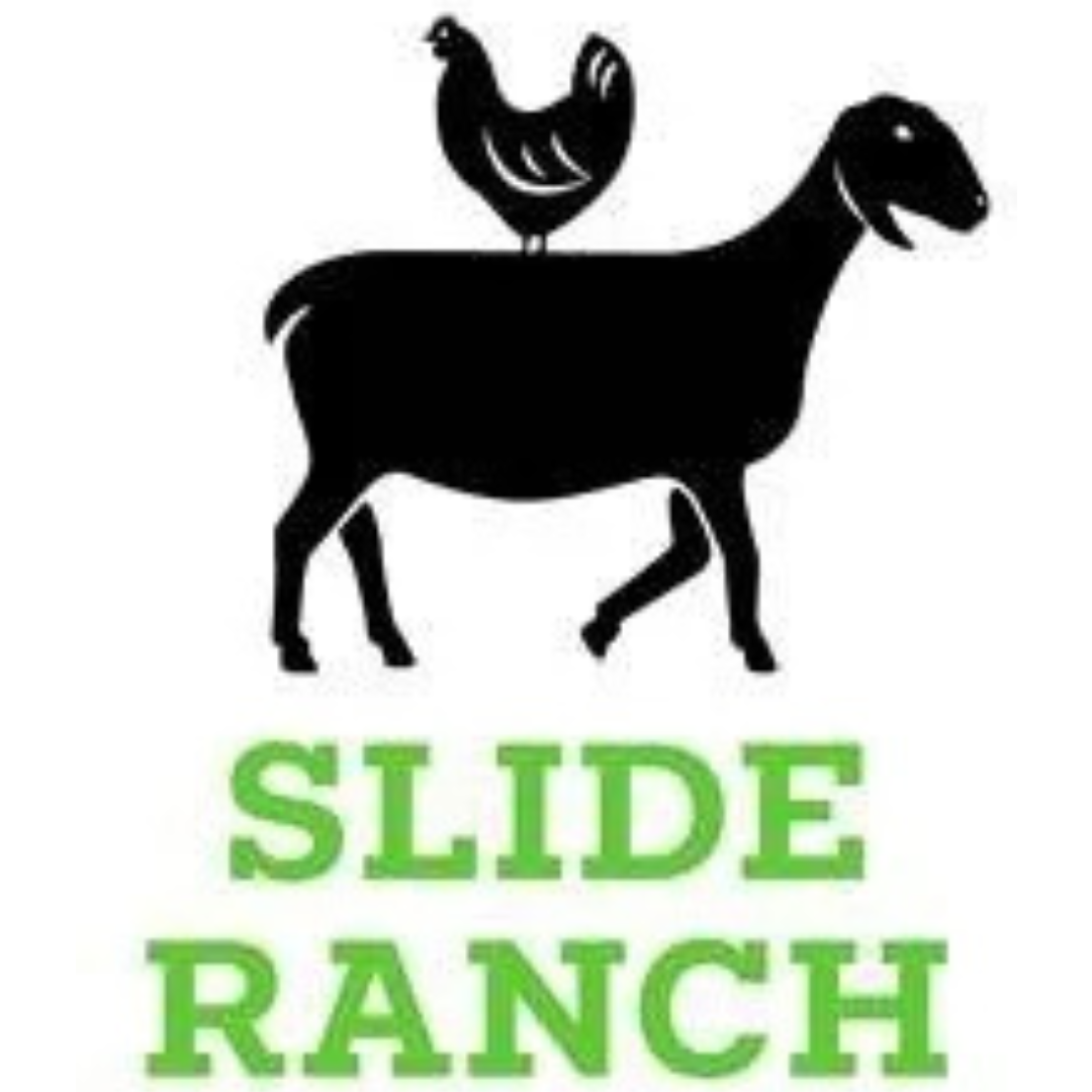 Slide Ranch: Connecting Kids to the Natural World