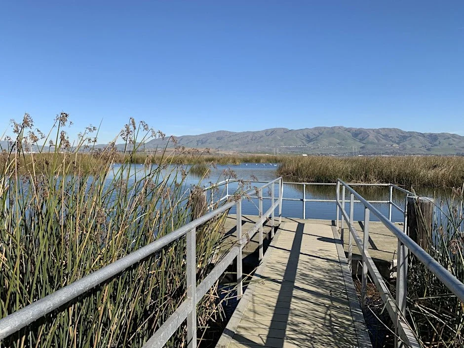 San Jose: King Tides in Alviso