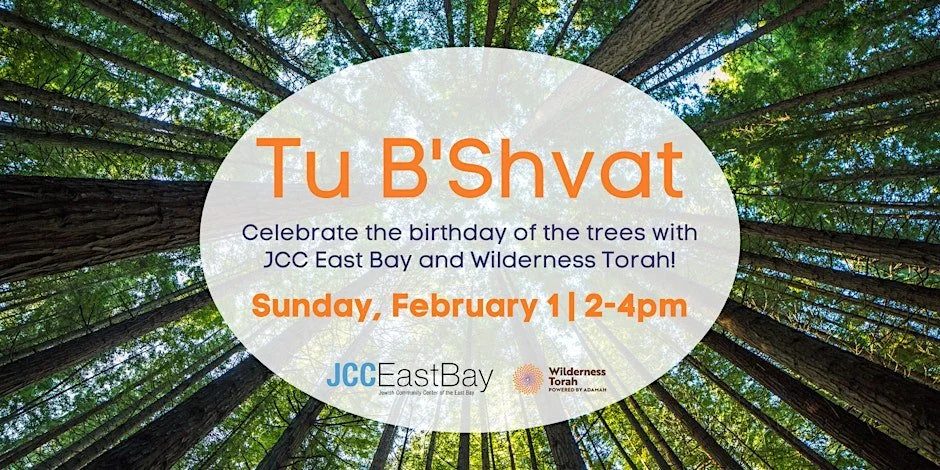 Berkeley: Tu B'Shvat Family Celebration