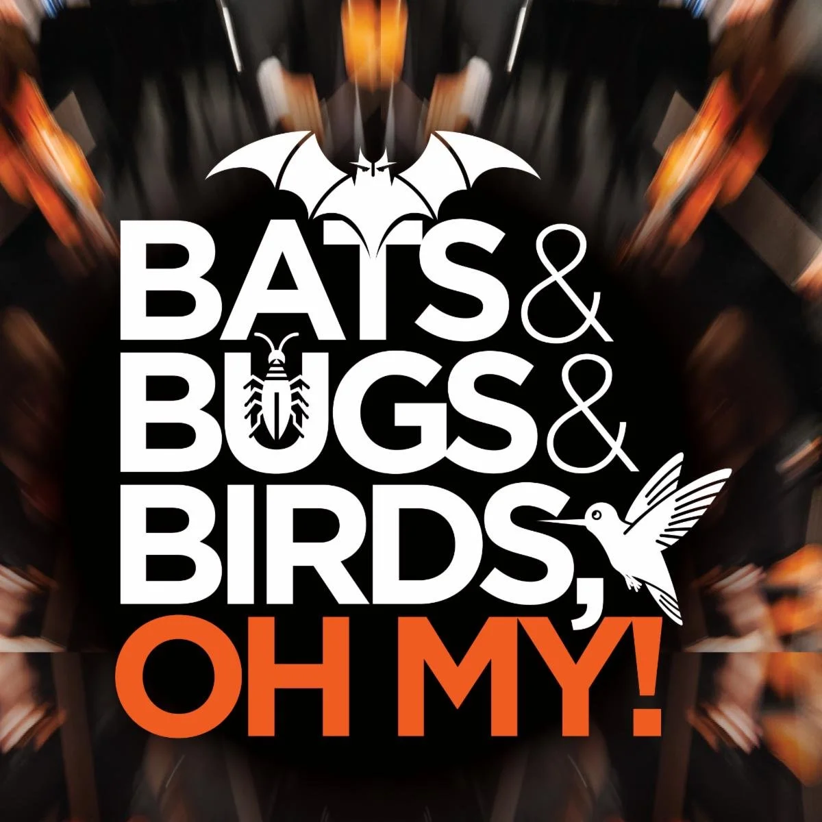 Marin Symphony Pops: Bats &amp; Bugs &amp; Birds, Oh My!