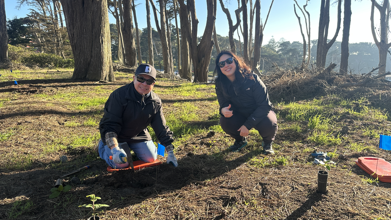 San Francisco: Fungi and Plant Stewardship