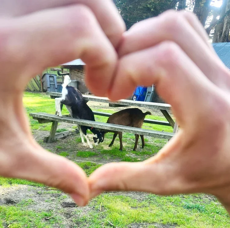 Muir Beach: Slide Ranch Family Farm Day: Valentine's