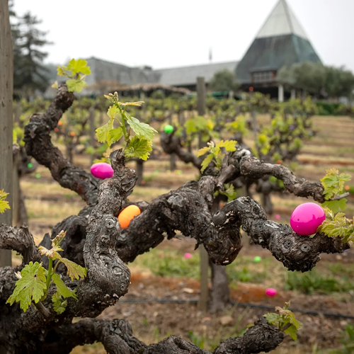 Geyserville: Annual Spring Egg Hunt and Carnival