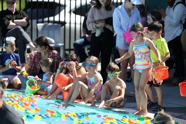 Sonoma: EGGstravaganza