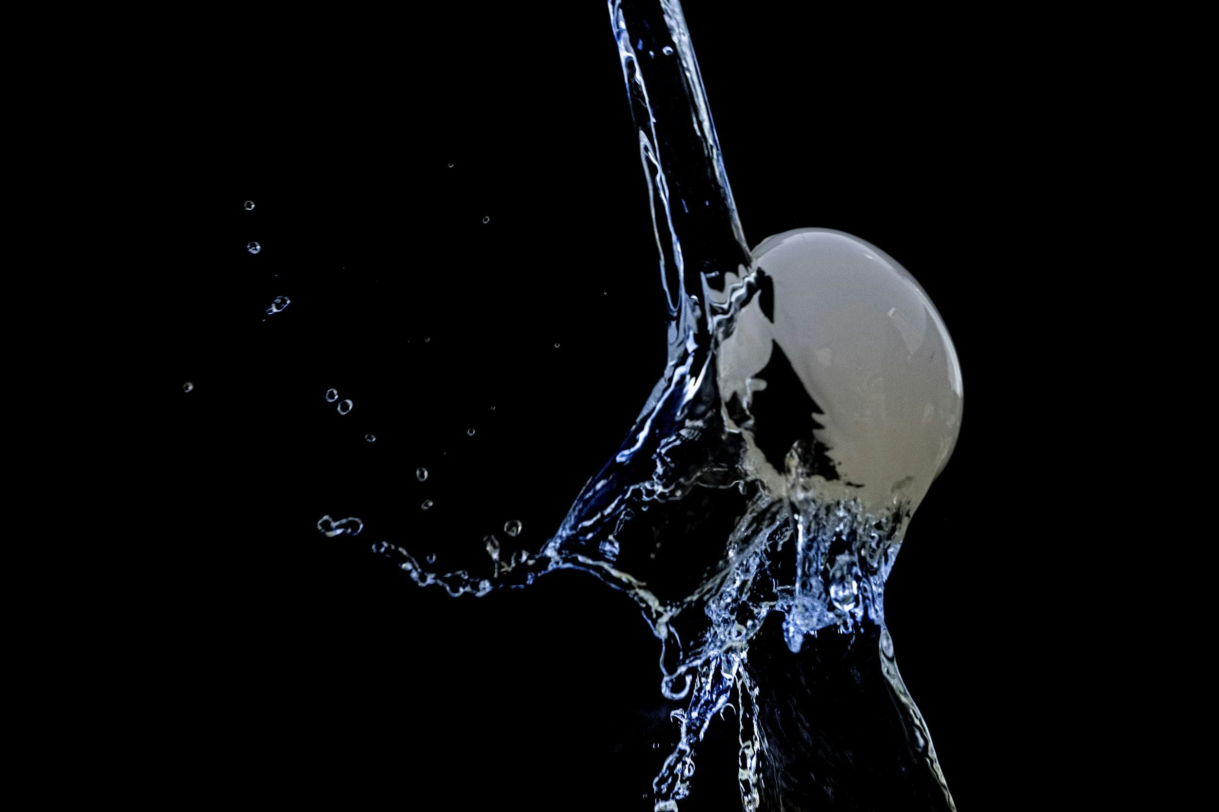 Concord: Egg-straordinary Underwater Egg Hunt