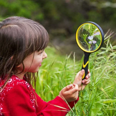 City Nature Challenge