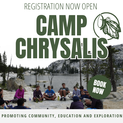Sneak A Peek of Camp Chrysalis