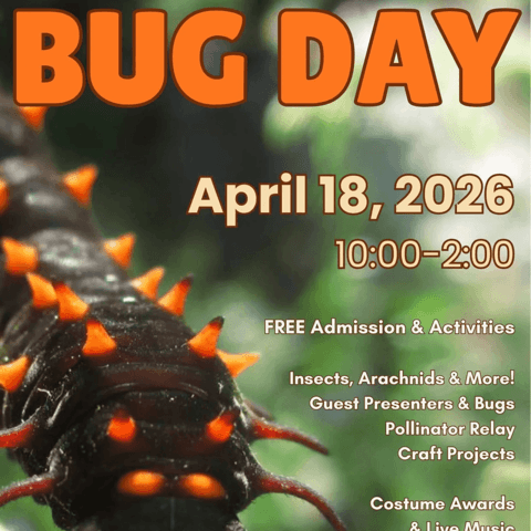 Bug Day at the Randall Museum