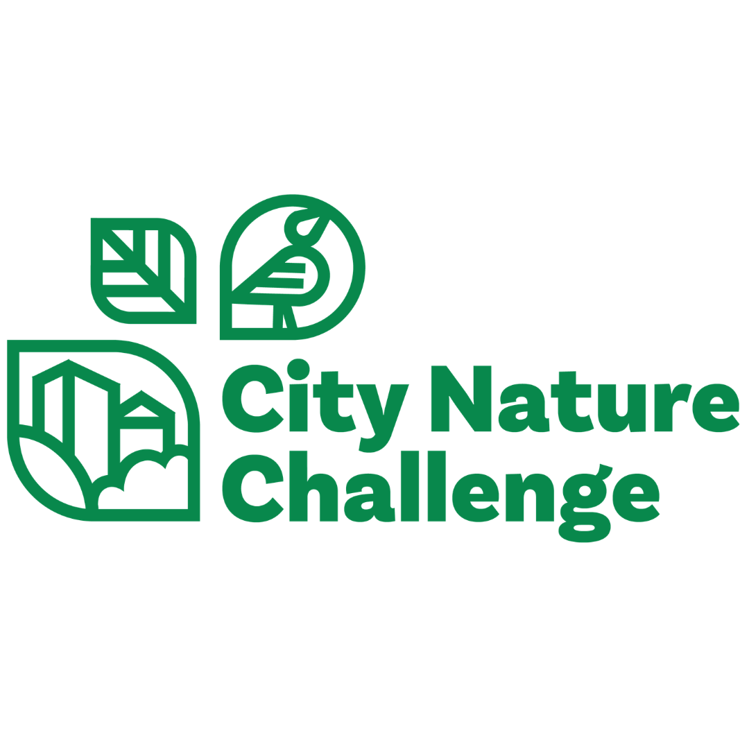 City Nature Challenge