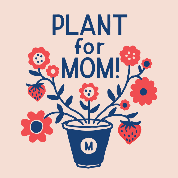 Plant a Posy for Mom