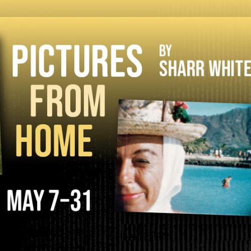 Theatre Review: Marin Theatre Presents Pictures from Home