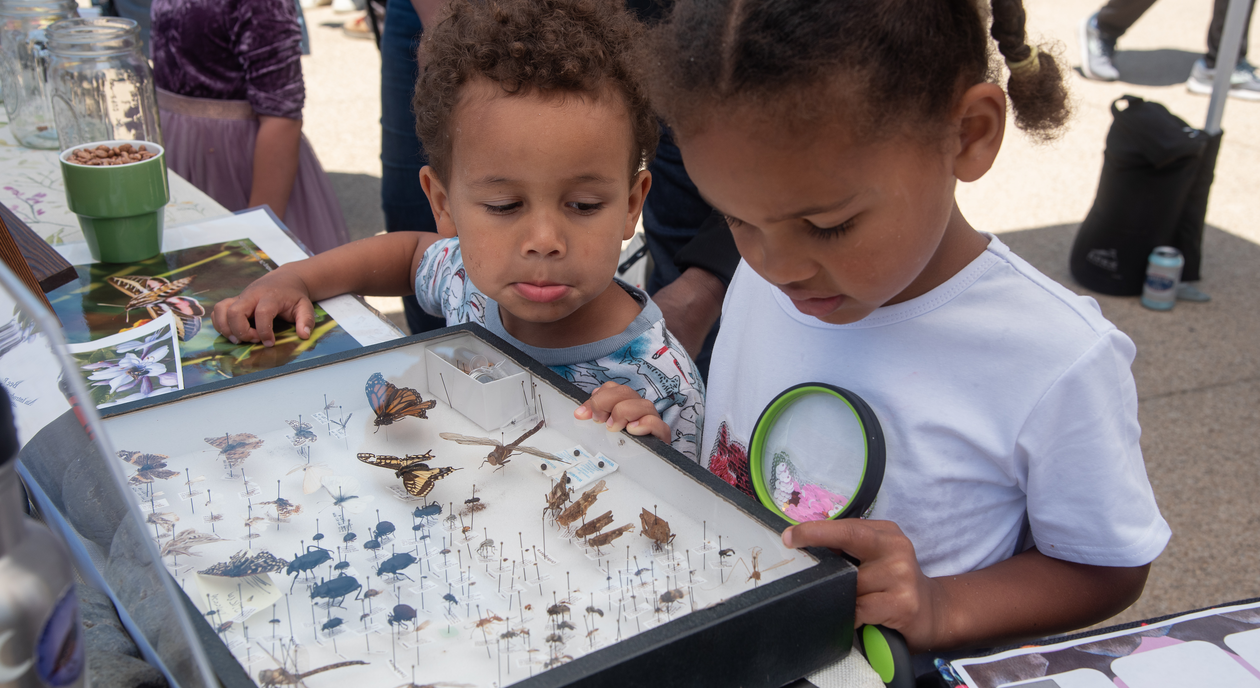 Pollinator Day at Presidio Tunnel Tops