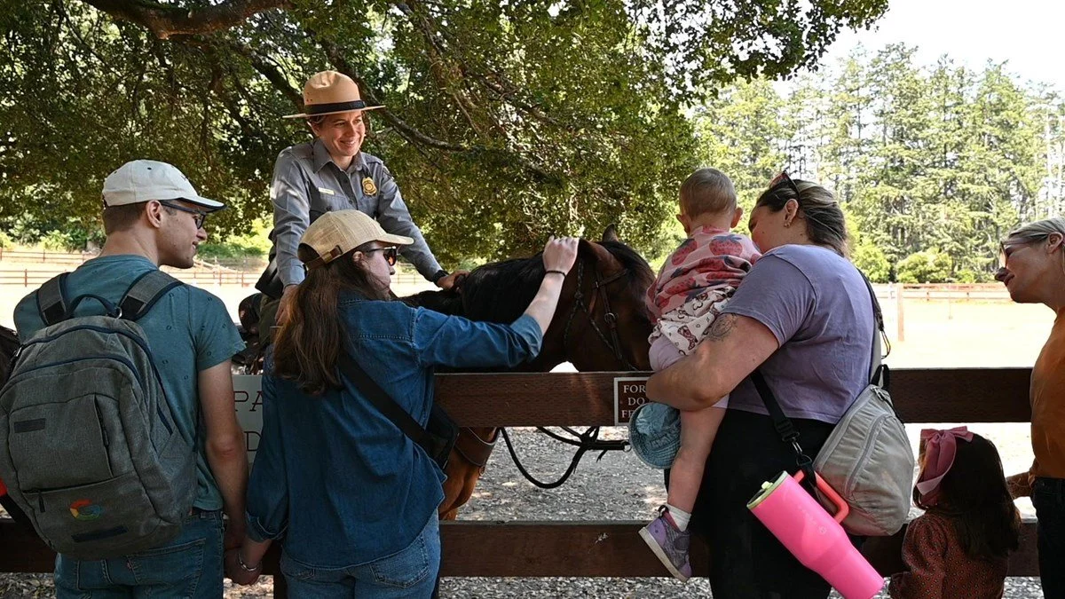 Morgan Horse Ranch 56th Anniversary Celebration