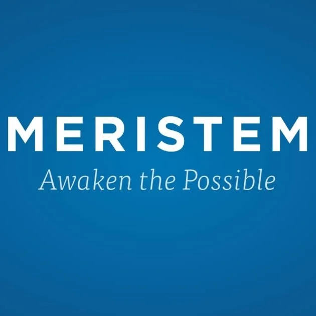 MERISTEM