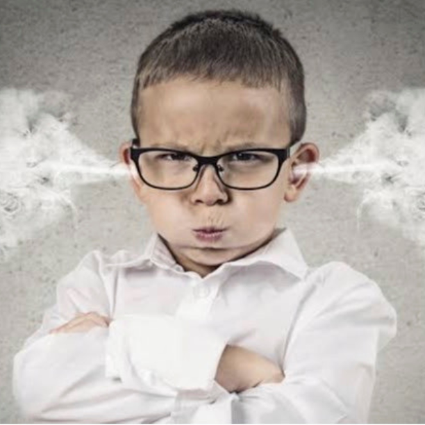Understanding Your Child Through the Lens of Emotional Regulation