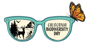 Habitat Restoration at Balboa Natural Area