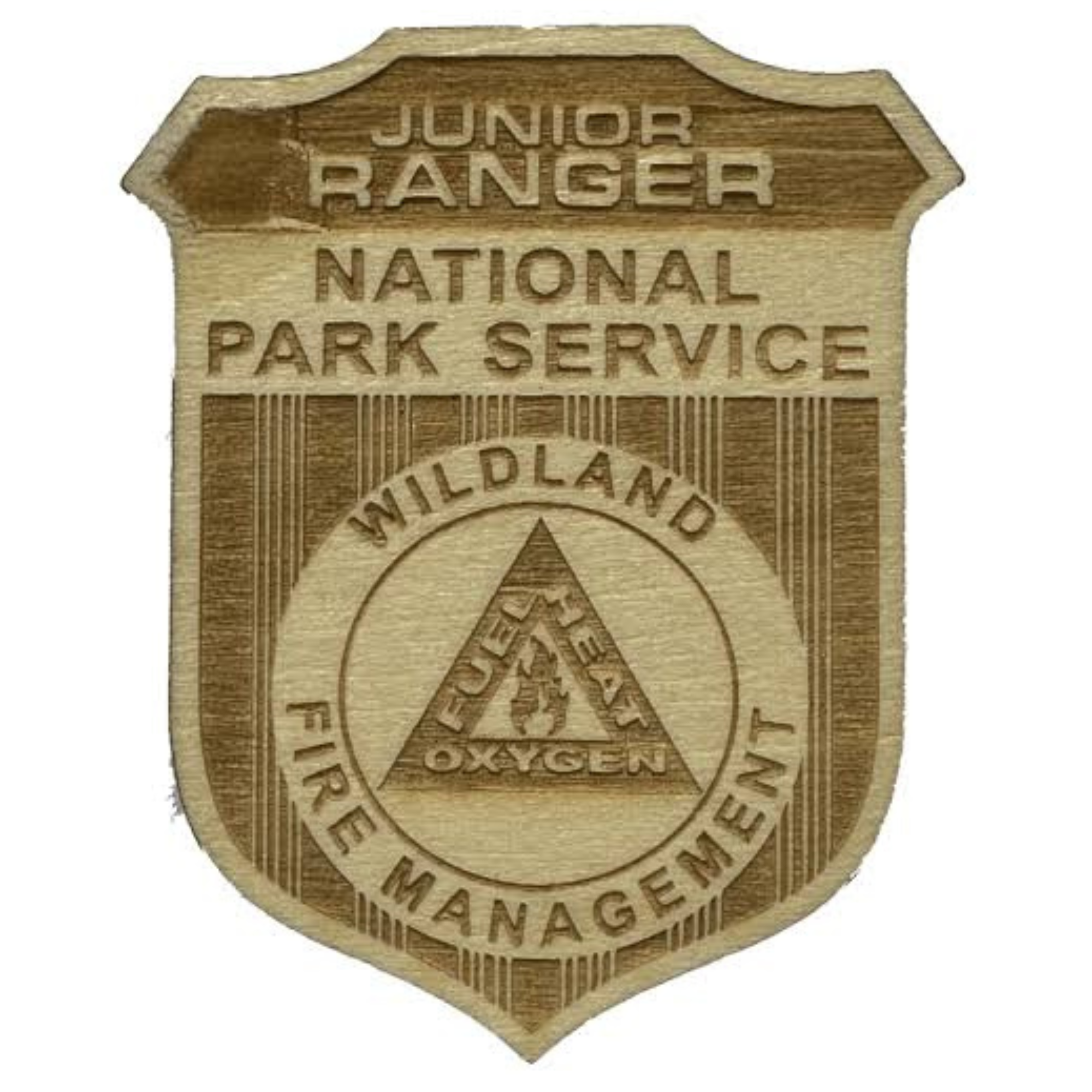 Wildland Fire
