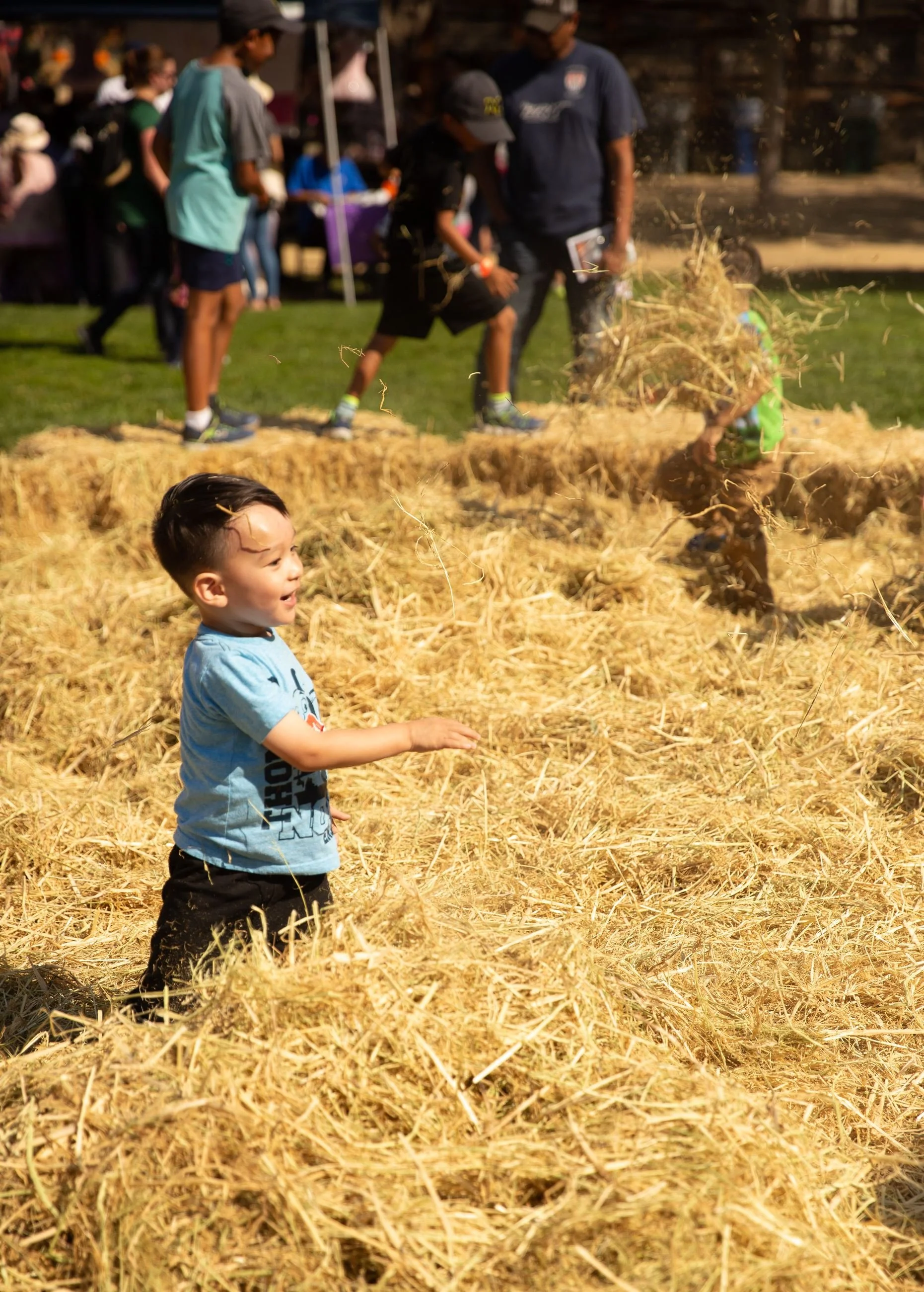 Dublin Harvest Fair