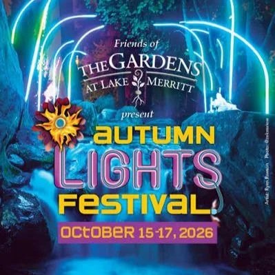 15th Anniversary Autumn Lights Festival