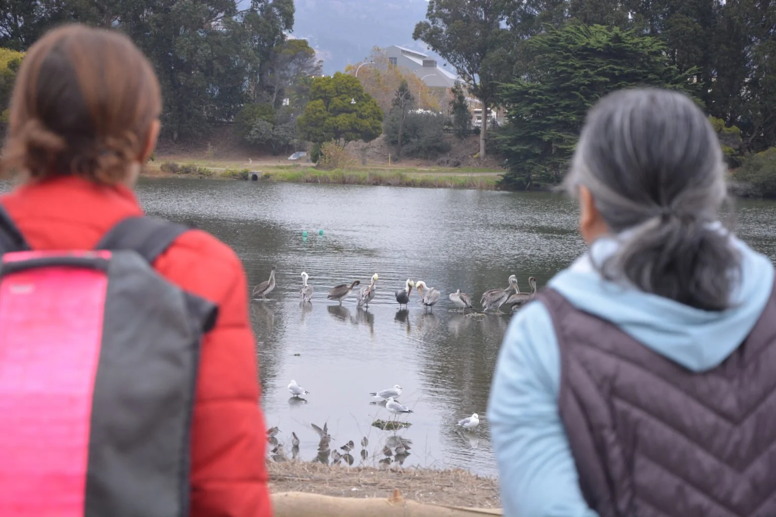 BERKELEY AQUATIC PARK