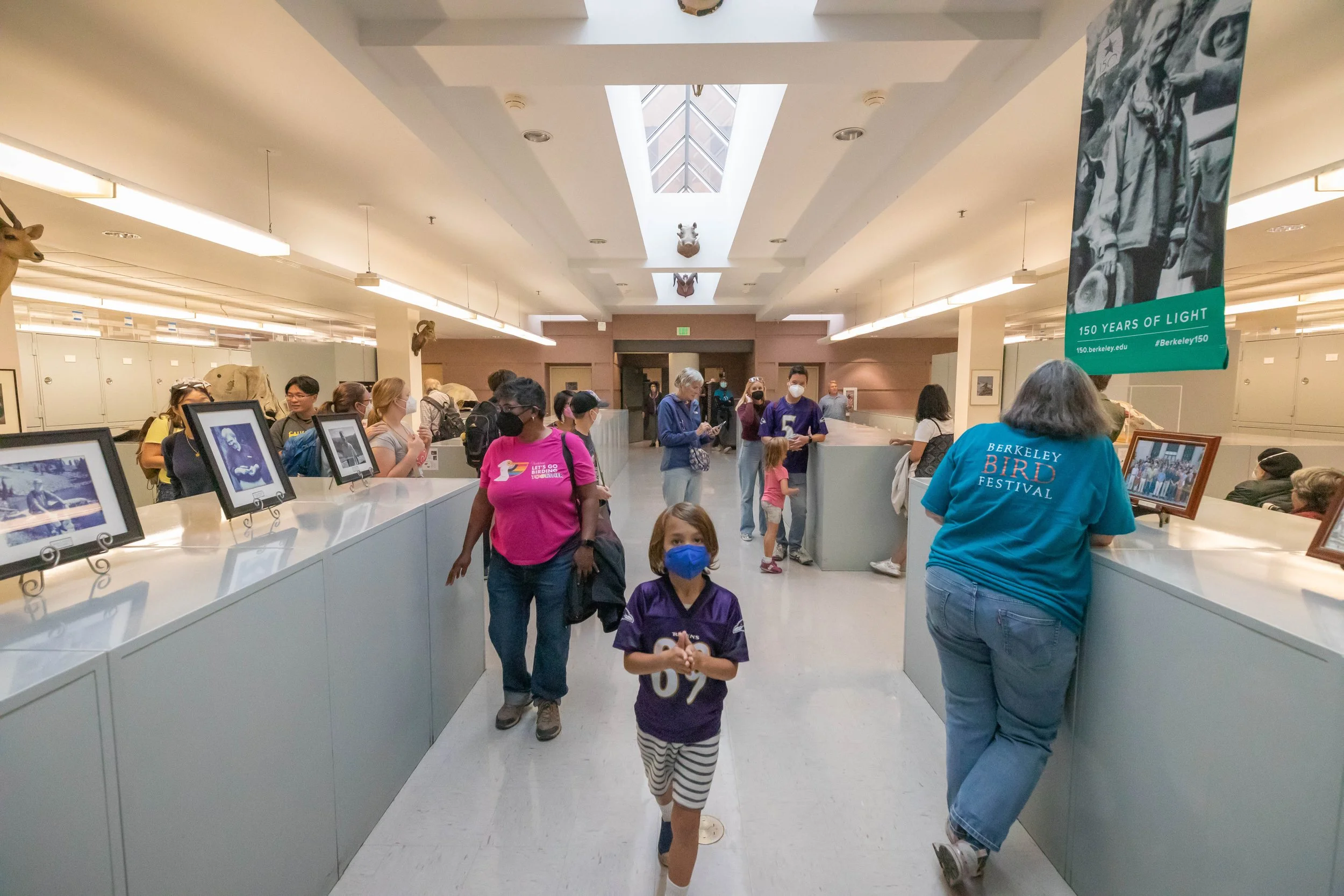Tour The Museum of Vertebrate Zoology