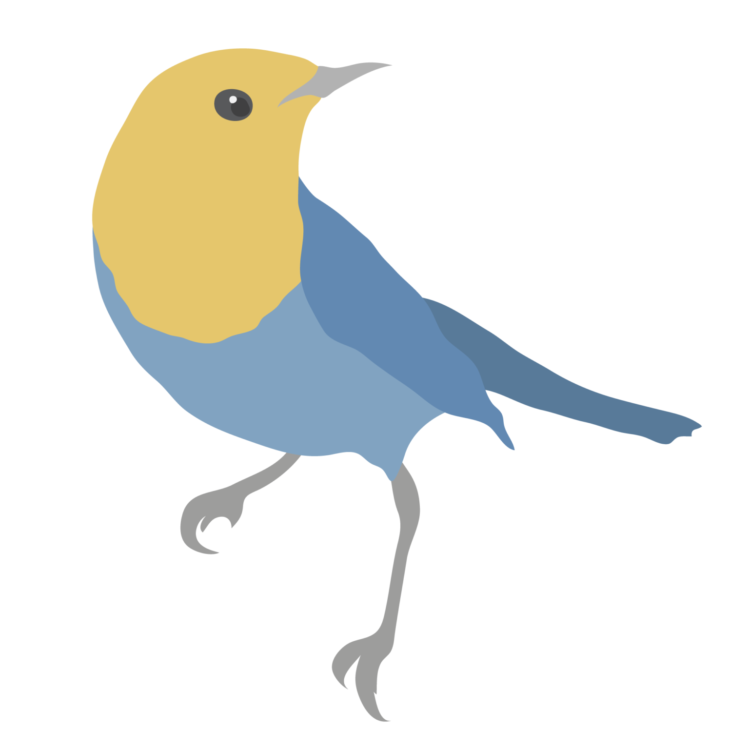 A Soundscape of Birds