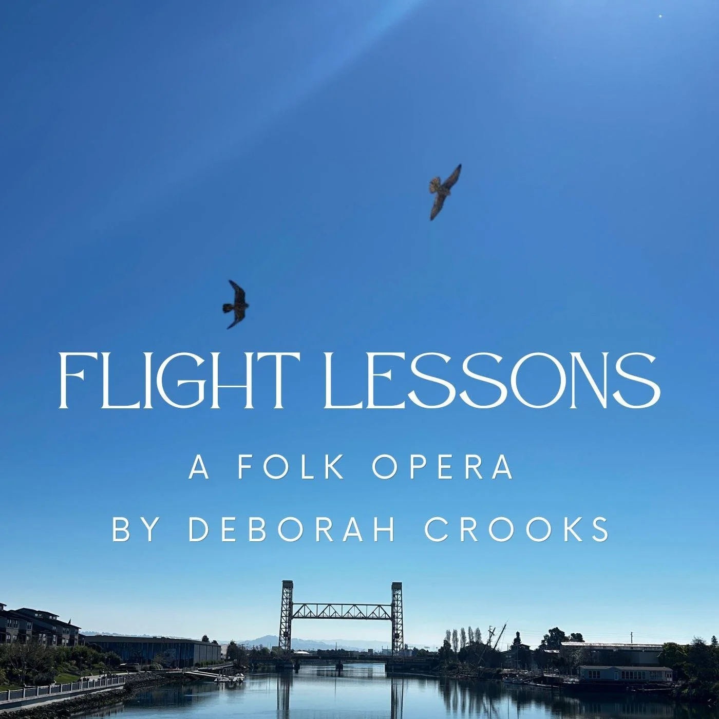 Flight Lessons: A Story That Sings