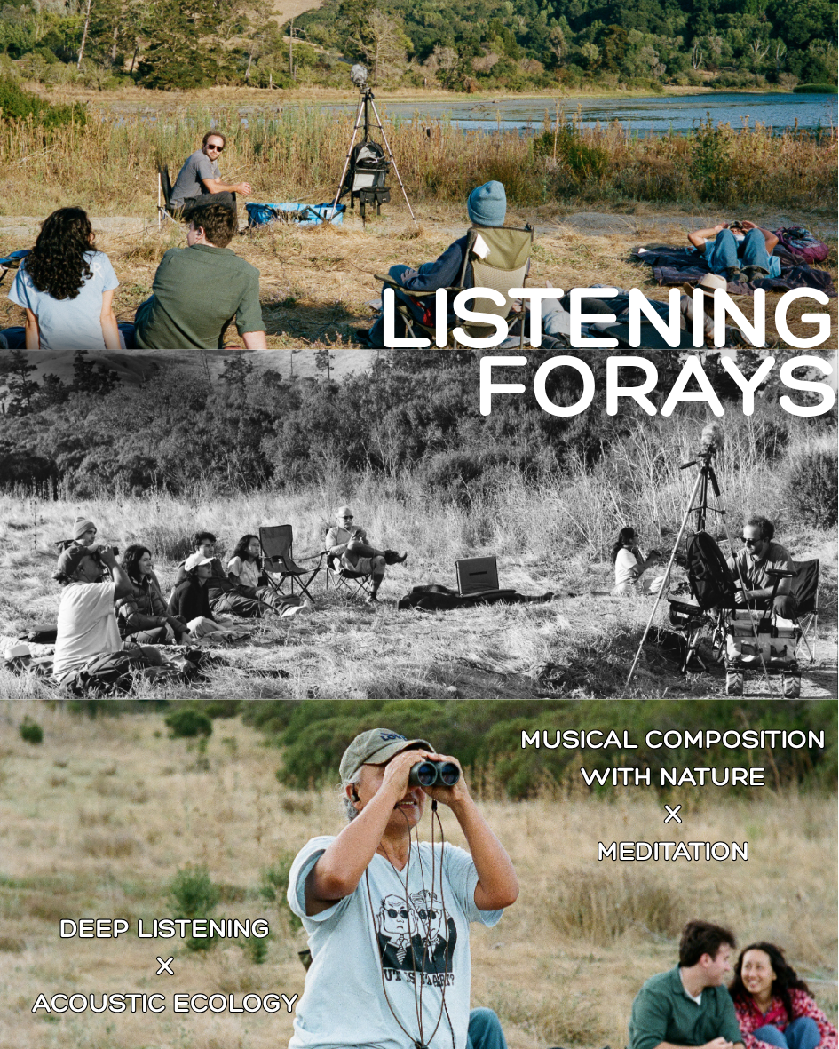 Listening Deeper: Birdsong, Soundscape Ecology, Music