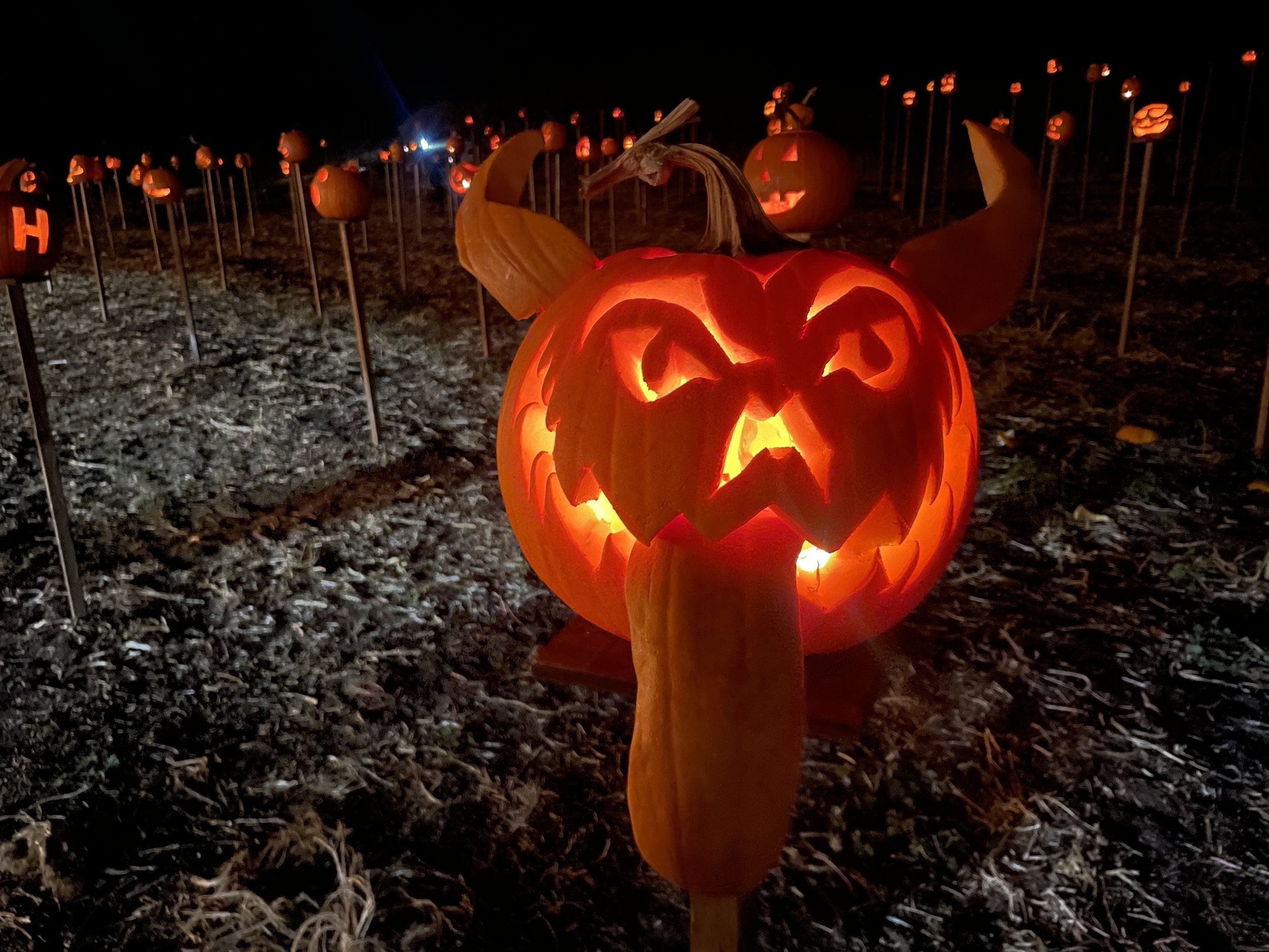 Pumpkin On Pikes