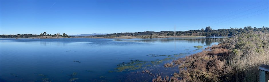 Watsonville: King Tide Hike at Elkhorn Slough Reserve