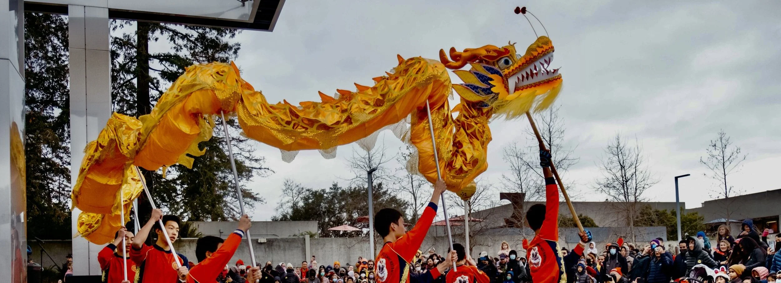 Lunar New Year Celebration and Other Asian Traditions: Year of the Dragon