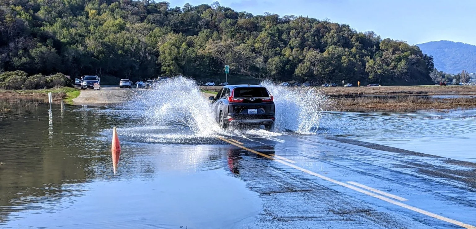 King Tide Hike with the National Estuarine Research Reserve