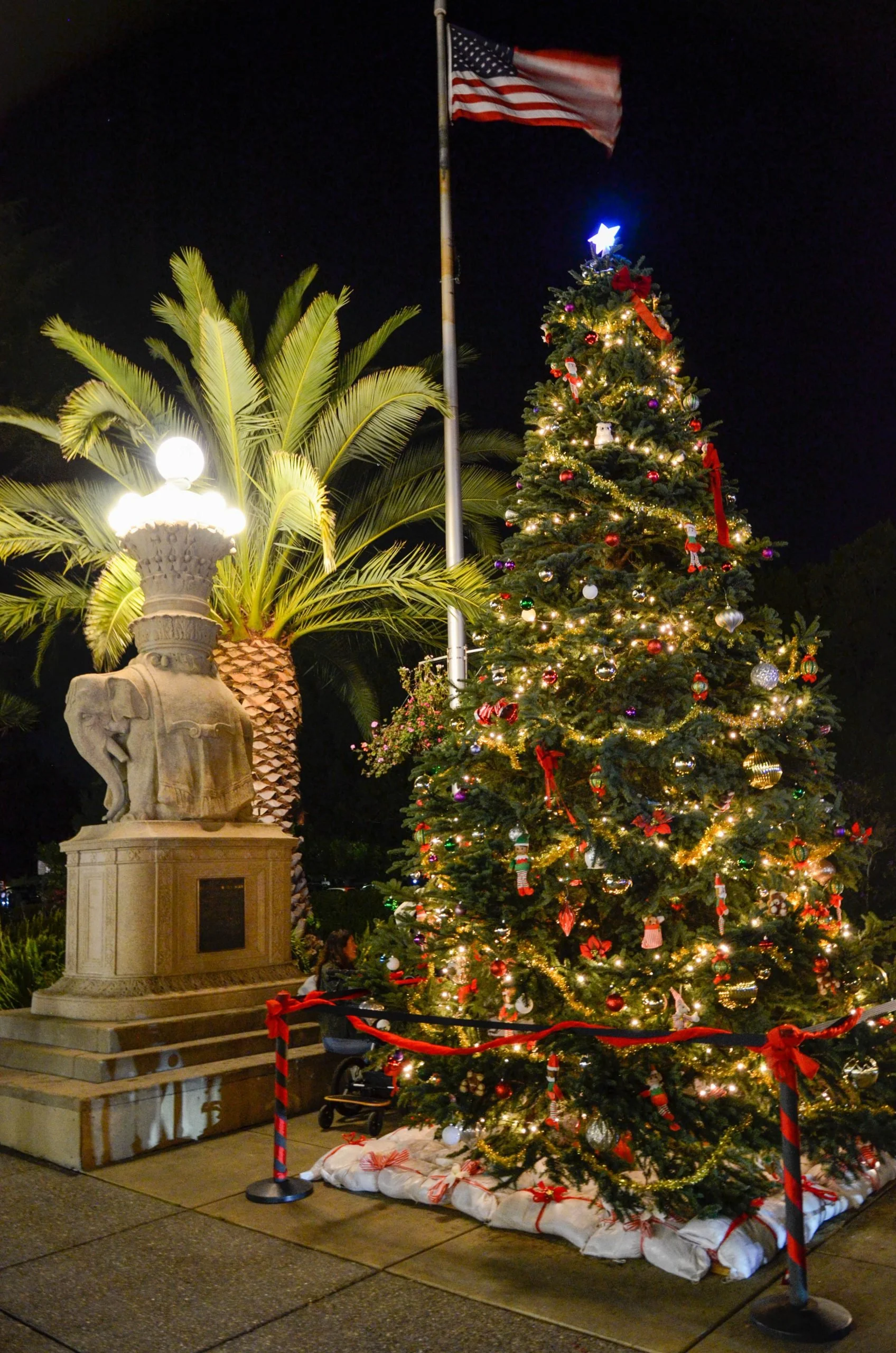 Sausalito Holiday Tree Lighting, Music and Santa’s Arrival