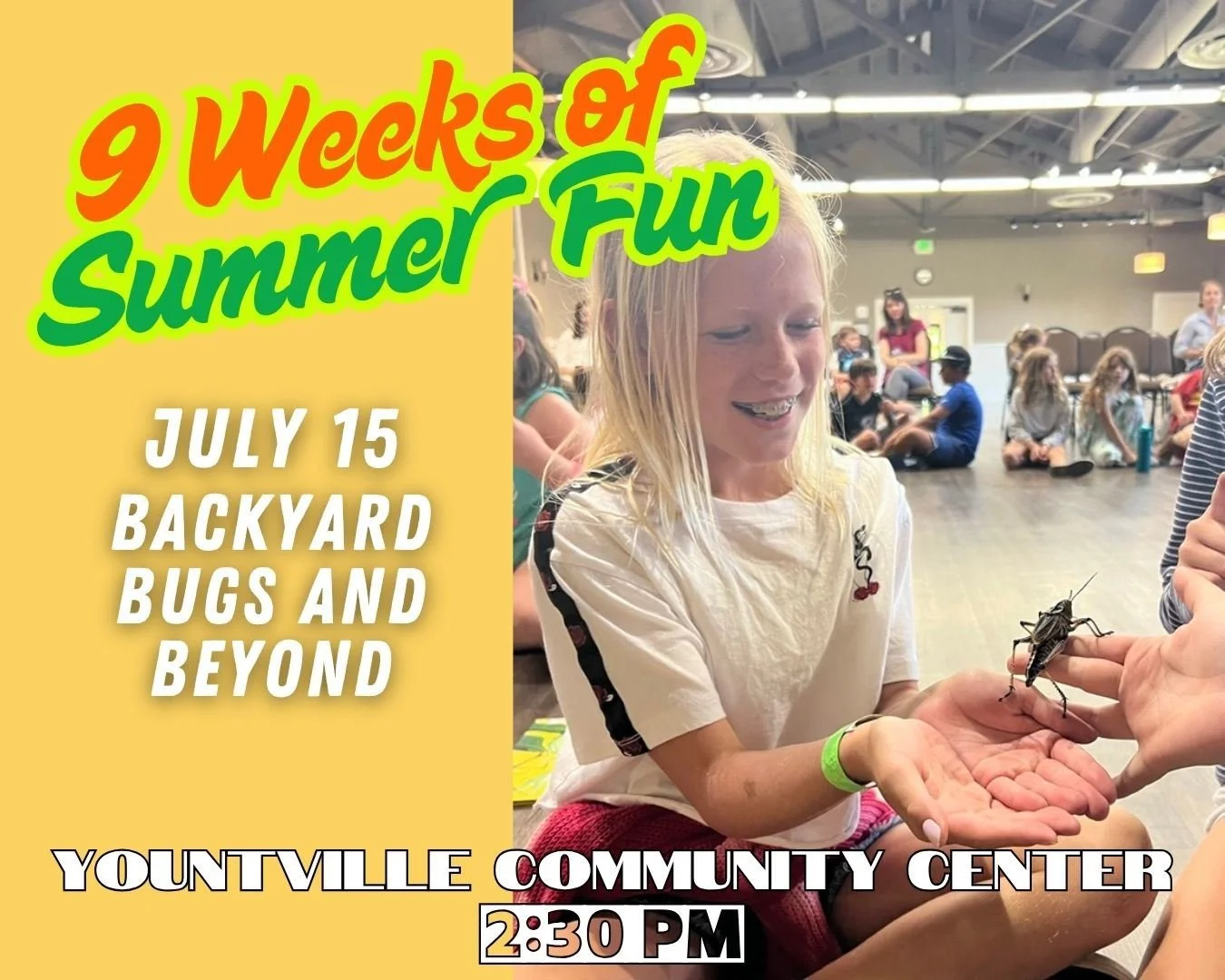 Yountville's 9 Weeks of Summer Fun: Backyard Bugs and Beyond