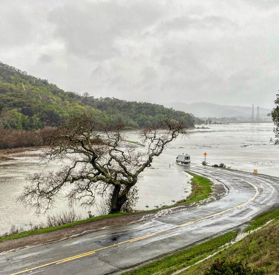 San Rafael: King Tides in China Camp