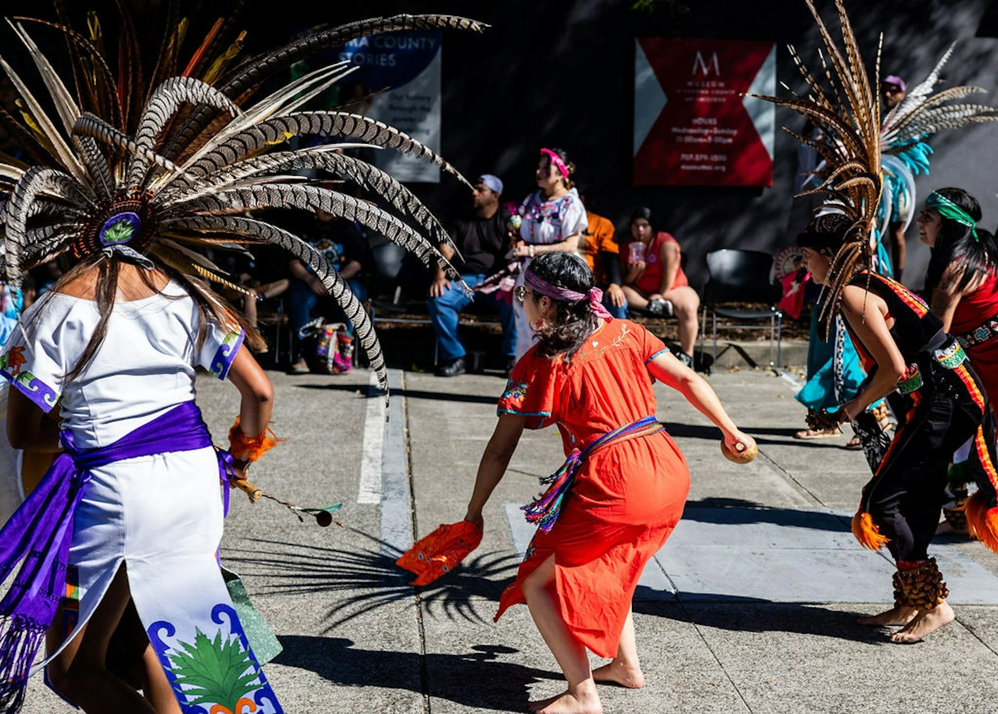 Museum of Sonoma County Block Party