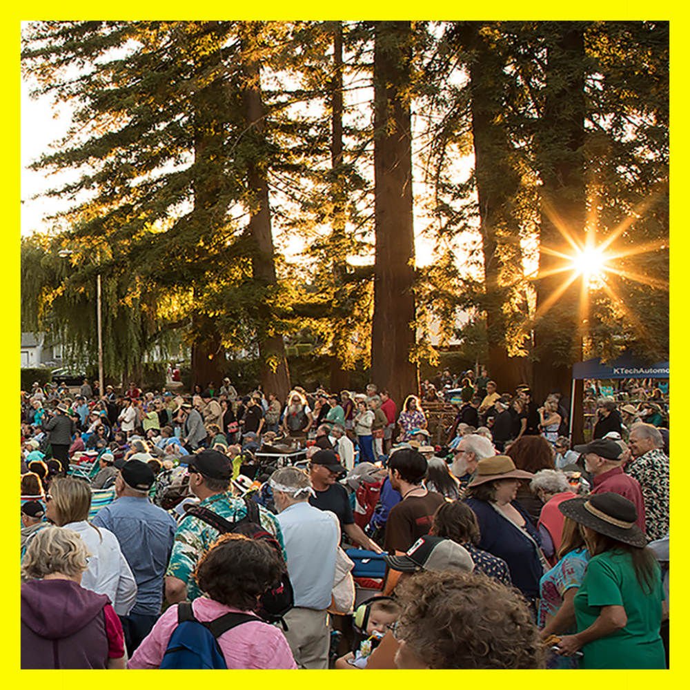 Sebastopol's Peacetown