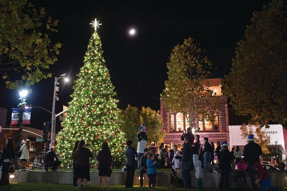 Napa: Christmas Tree Lighting