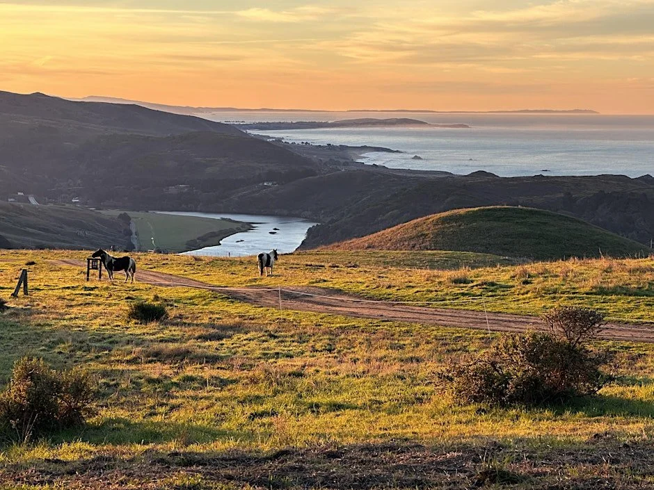 New Year's Sunrise Hike at Jenner Headlands Preserve