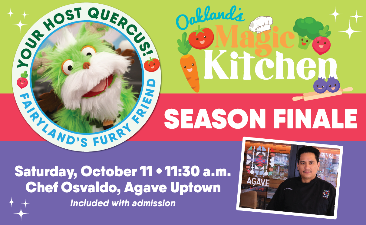 Oakland’s Magic Kitchen