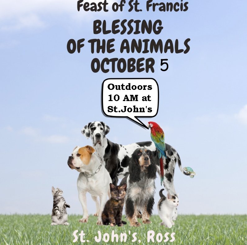 Blessing of the Animals at St. John's
