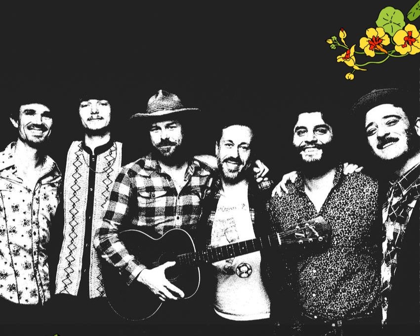 THE CALIFORNIA HONEYDROPS / THE DIP