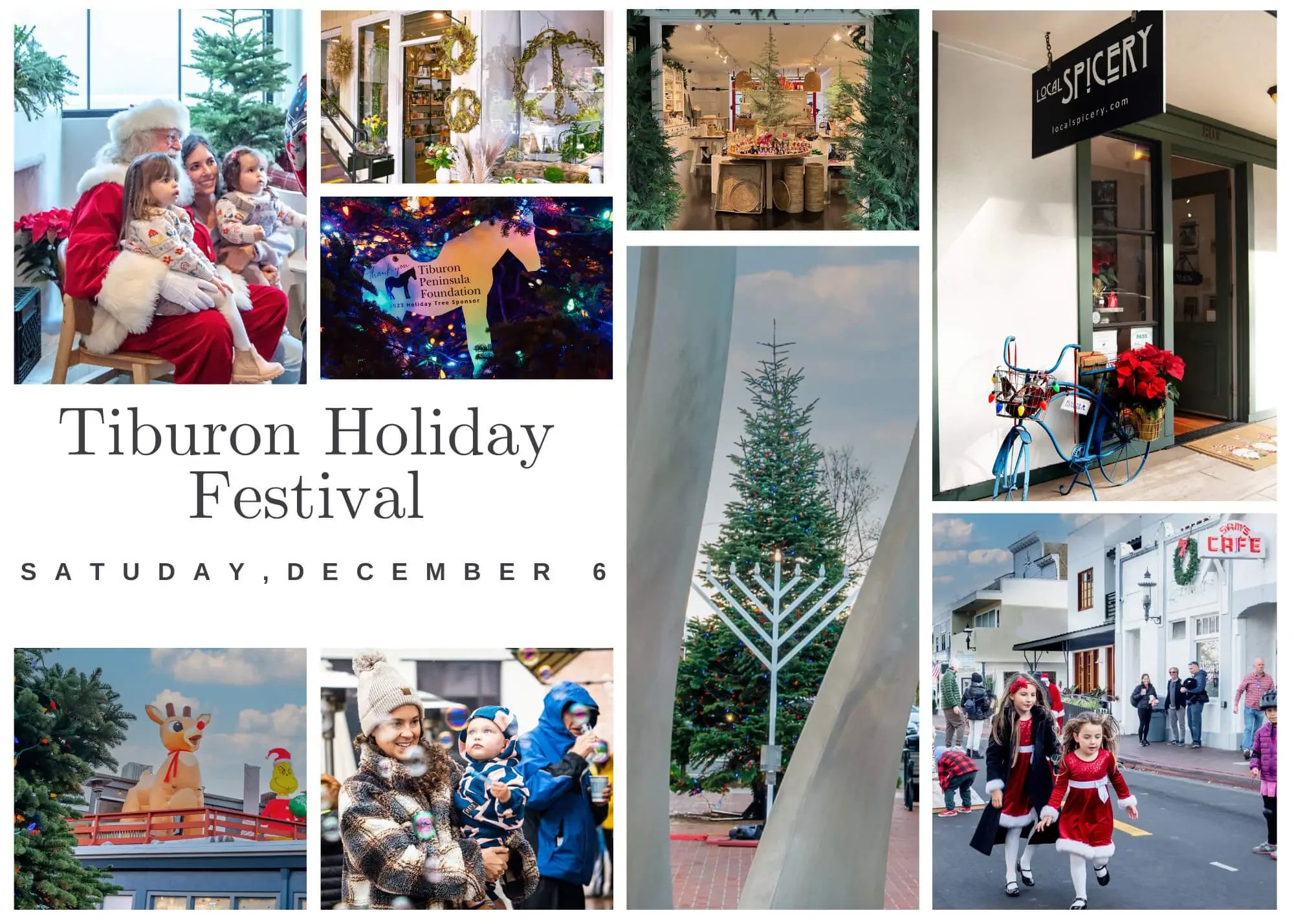 Christmas Tree Lighting in Tiburon